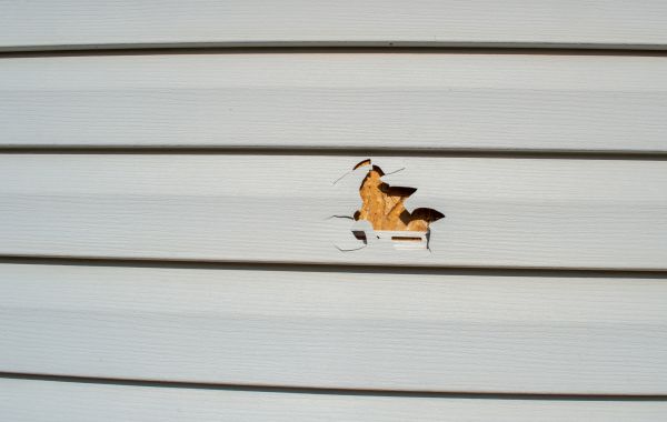 Siding Hole Patching in Waldorf